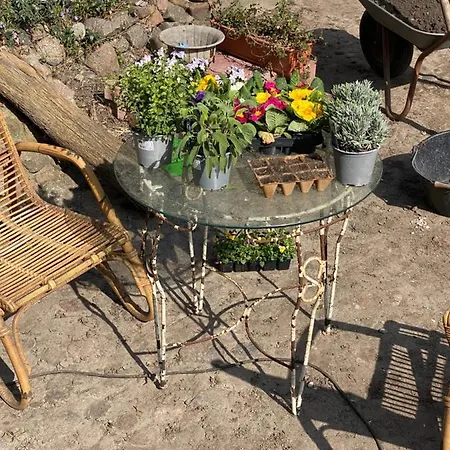 Apartamento Norddeutscher Hof - Kutscherstation Apartment - Schwalbenblick *